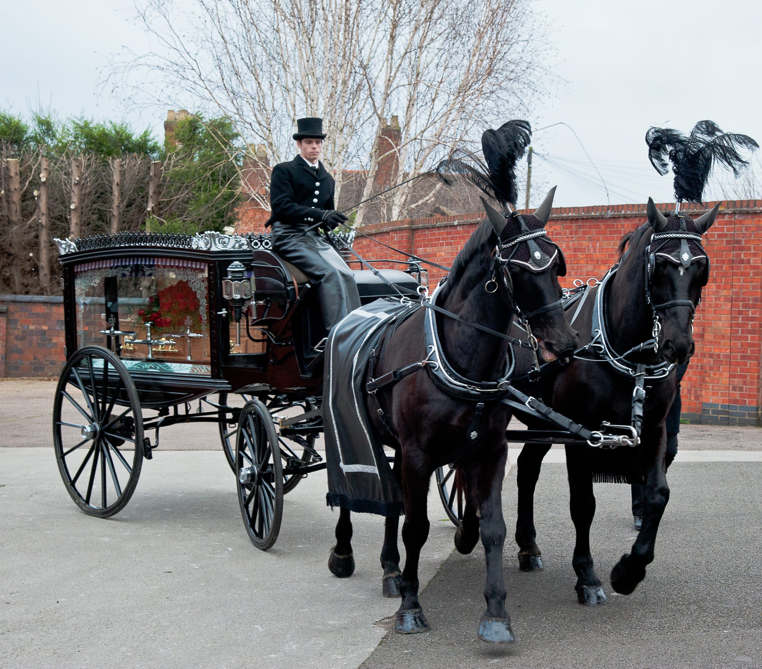 Tamworth Co-op receiving record number of requests for horse-drawn hearses at funerals